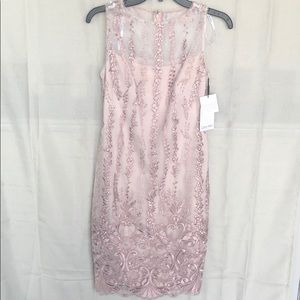 Calvin Klein Dress women’s 2 NWT tan & light pink